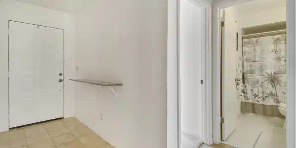 Image 3: Entry Foyer