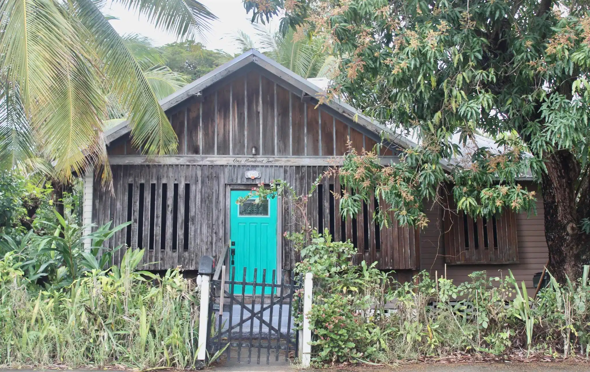 Image 1
