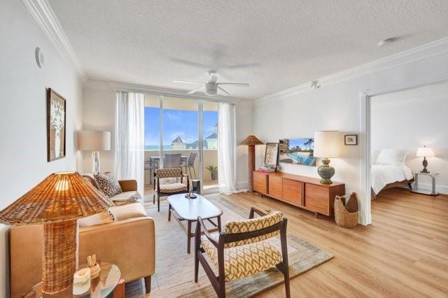 Image 3: Light Filled & Ocean View