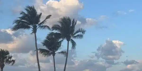 505 NE 20th Avenue NE