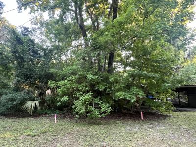 8874 W White Dogwood Drive