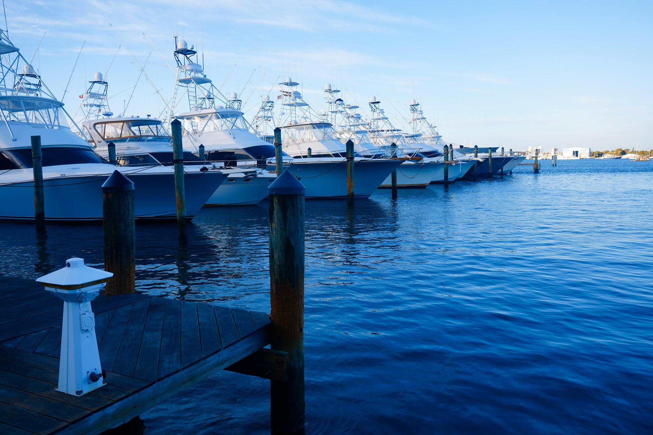 Image 2: HAVN_Marina_DSC02090