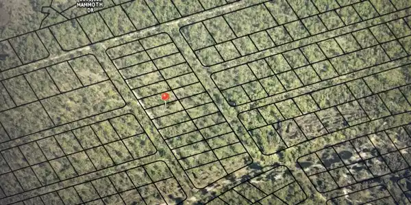 Image 2: 0 unassigned Poinciana photos 2