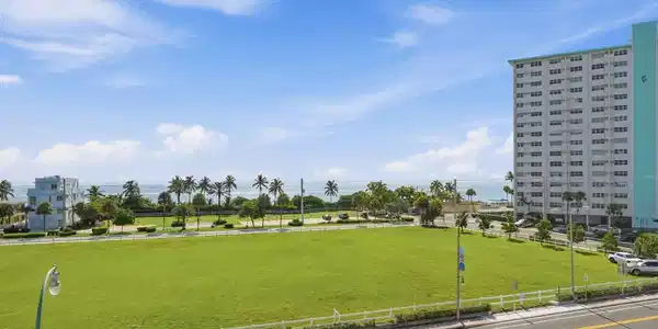 Image 2: Expansive green space bordered by palm trees and o