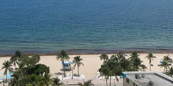 Image 2: View