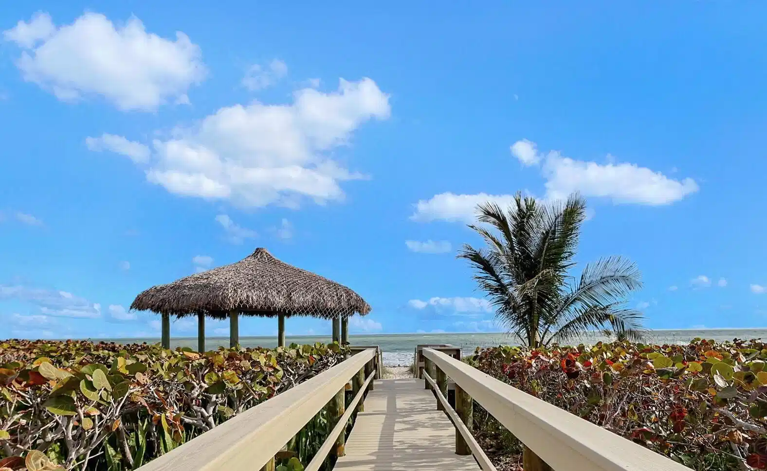 Image 1: PARADISE AWAITS