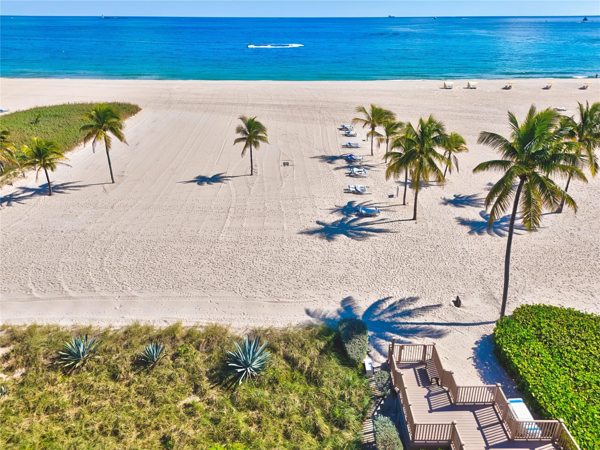 Image 3: Nothing but Surf, Sand and Palm Trees