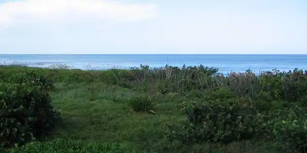 4002 N Highway A1a