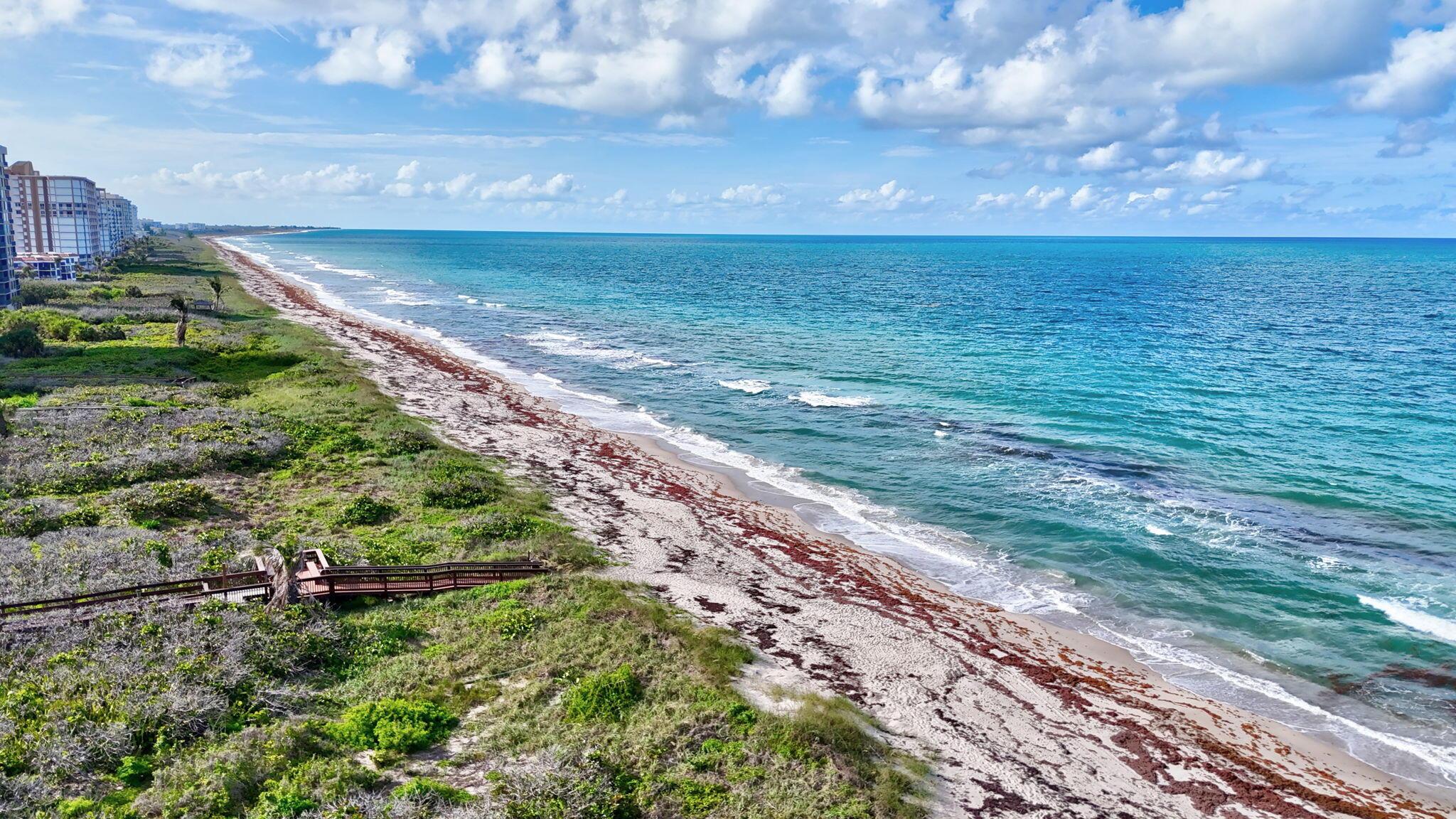 Image 3: 60-web-or-mls-DJI_20260608175020_0116_D_