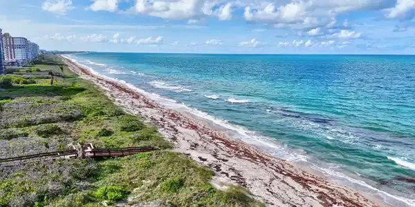 Image 3: 60-web-or-mls-DJI_20260608175020_0116_D_