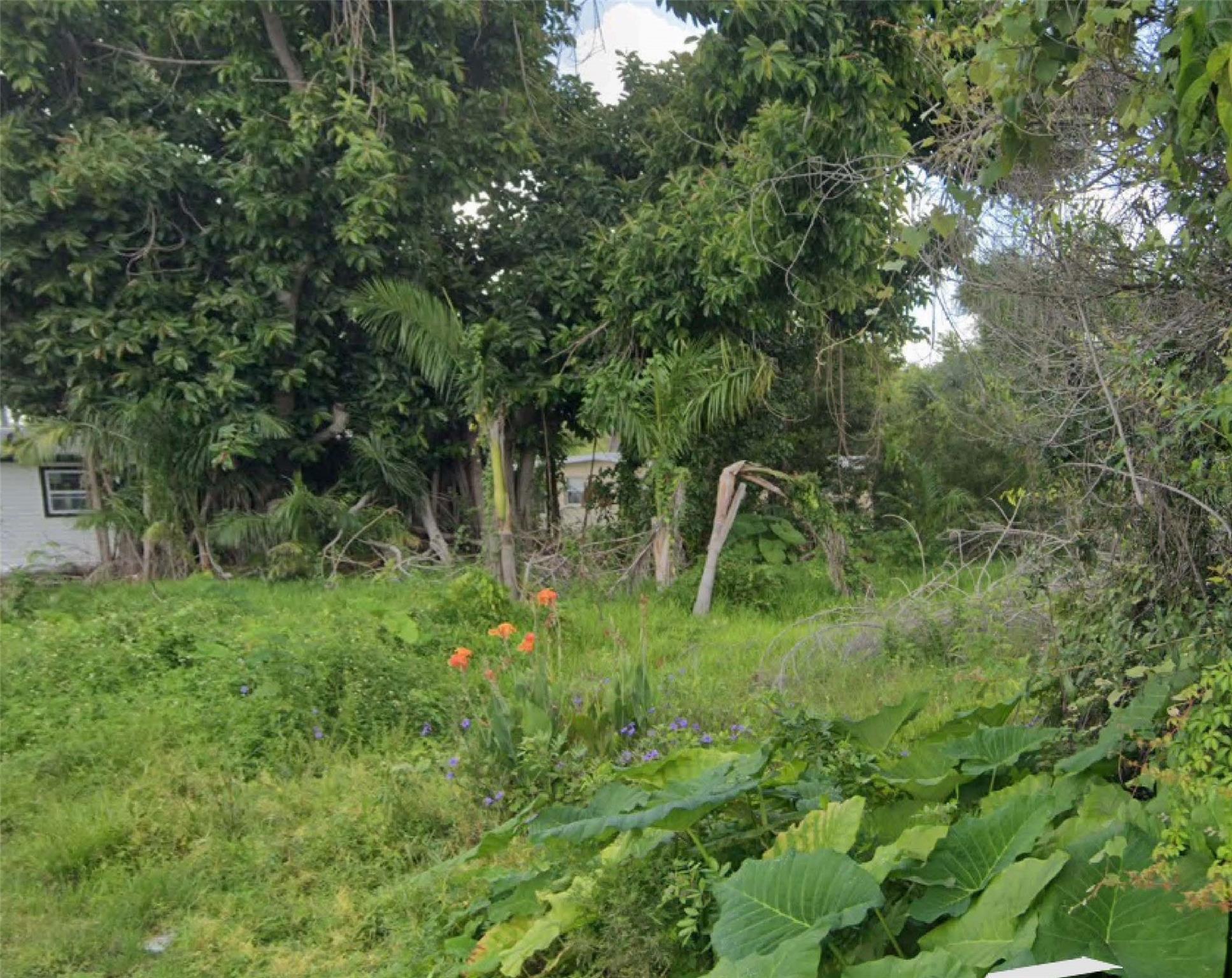 Image 2: Photo 2