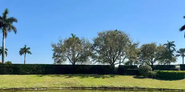 Image 3: 20250301174433474387000000-o