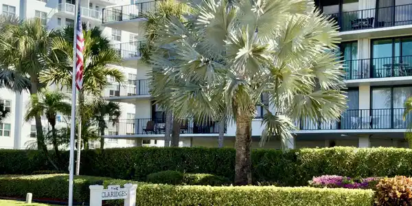Image 2: THE CLARIDGES OF PALM BEACH