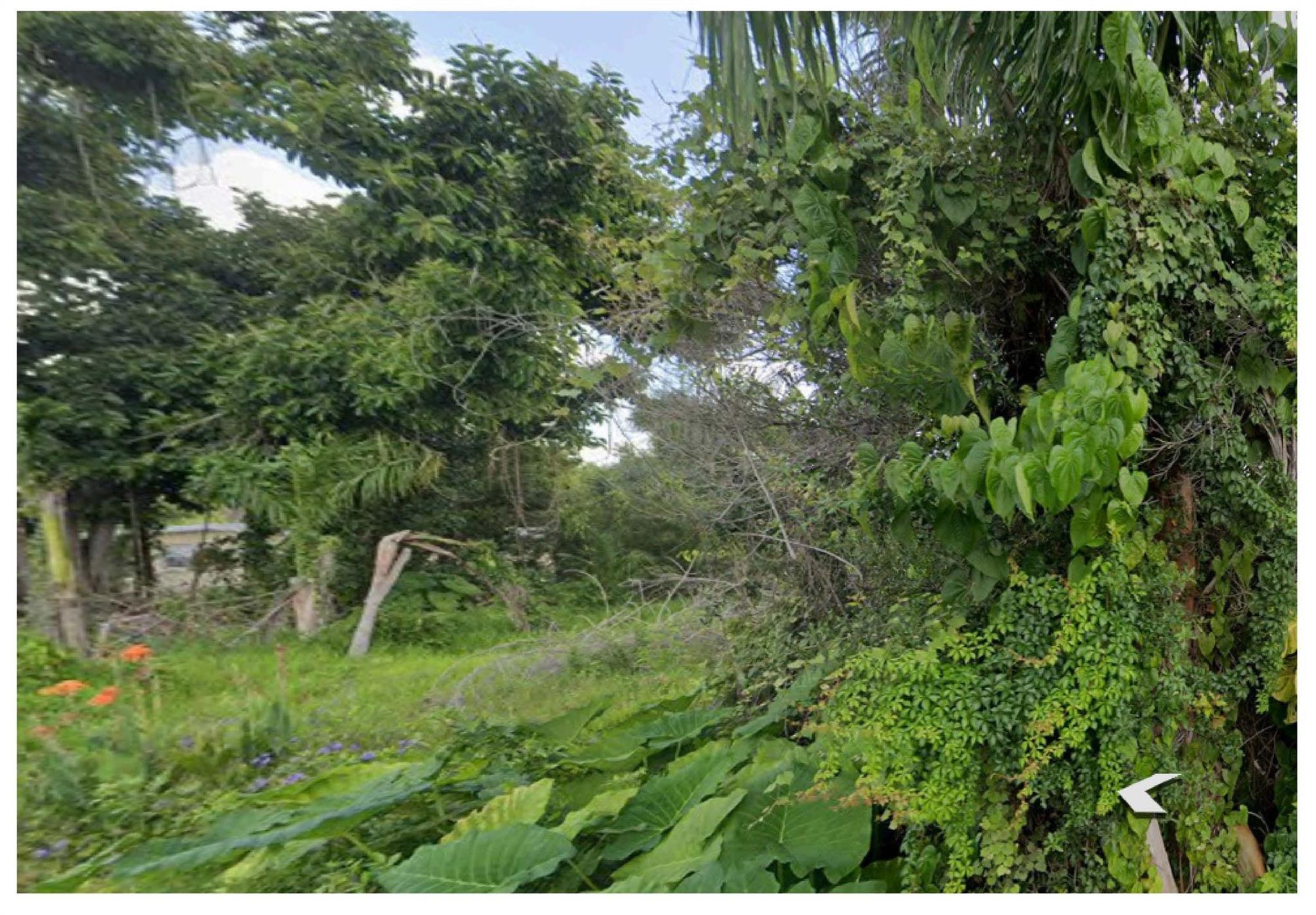 Image 3: Photo 3
