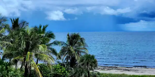 Image 2: VIEW FROM BEDROOM