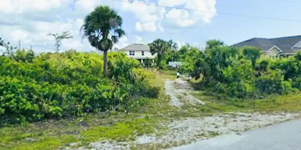 Image 4: Land