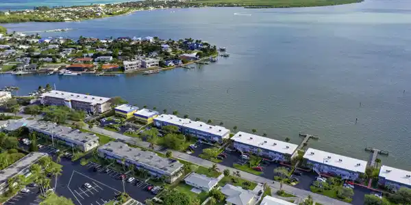 Image 2: Intercostal view
