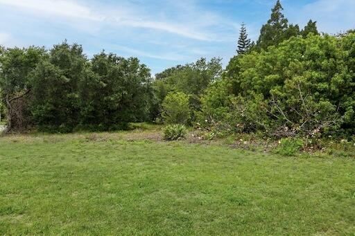 Image 4: IMG_2288