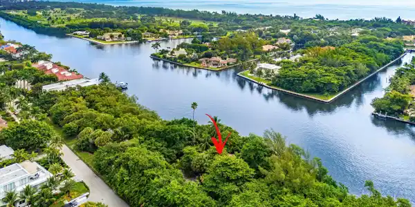 1001 Palm Trail