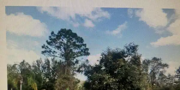 Image 3: Jollivette Rd