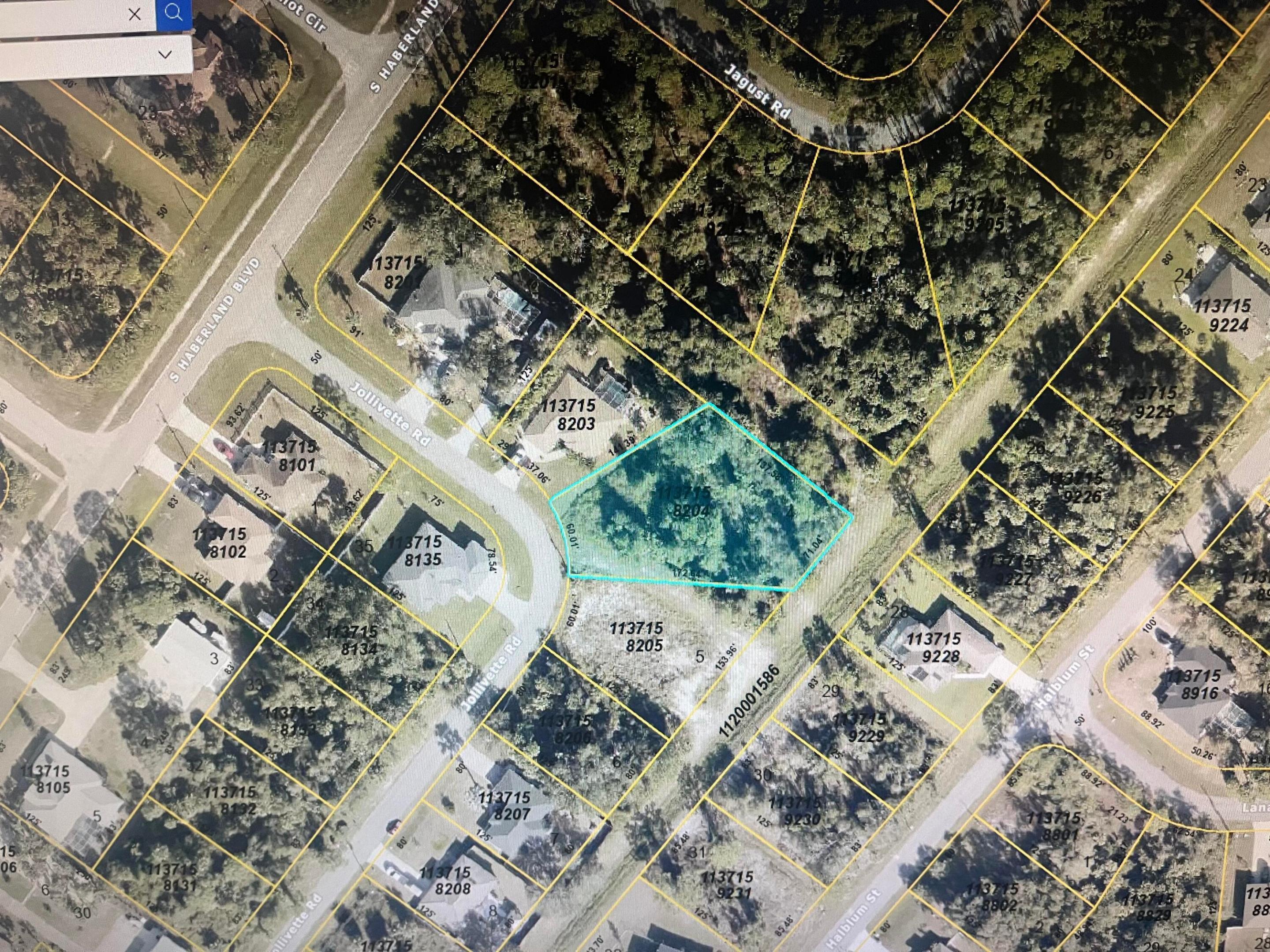 Image 4: Lot with Easment in back