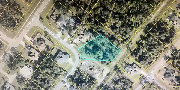 Image 4: Lot with Easment in back
