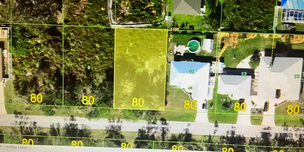 Image 2: Great Lot