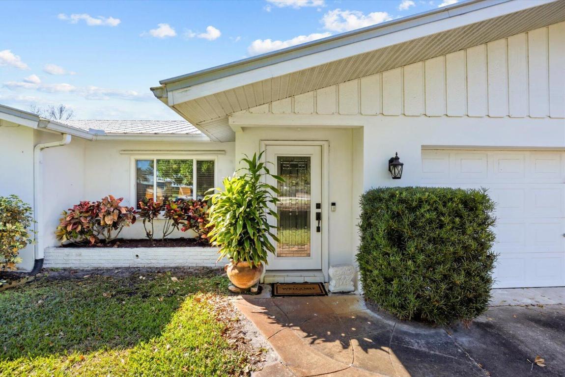 Image 4: 04-pine in-5