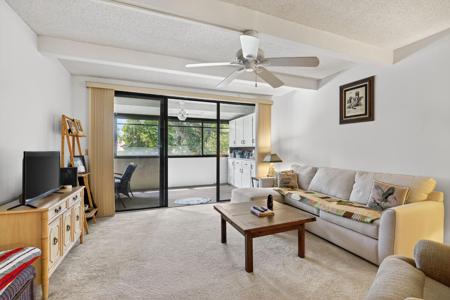 240 Hammock Shore Drive