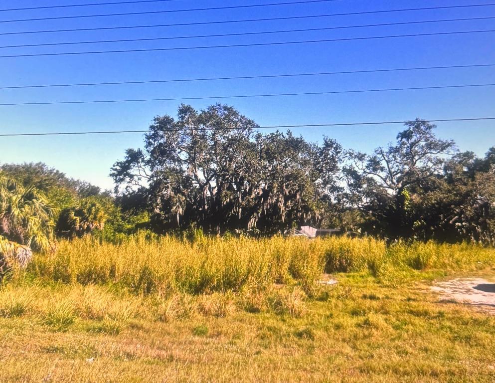 Image 2: 1