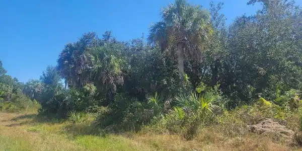 Image 3: 20251013_140639