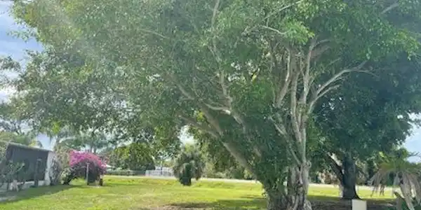 463 Egret Circle