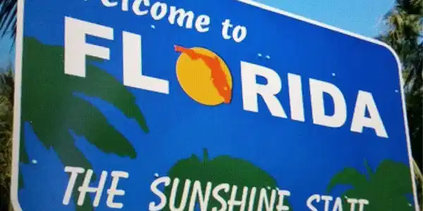 Image 3: Sunshine Galore!
