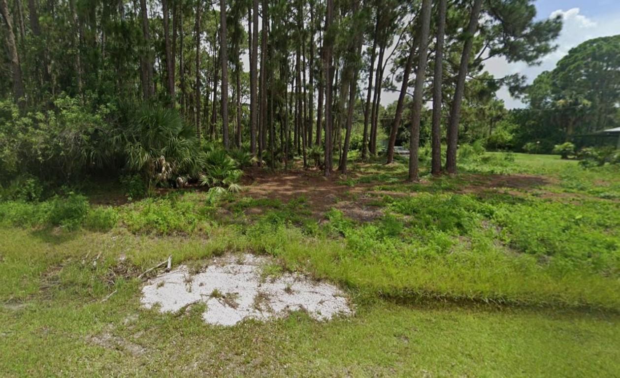 Image 3: Photo 3