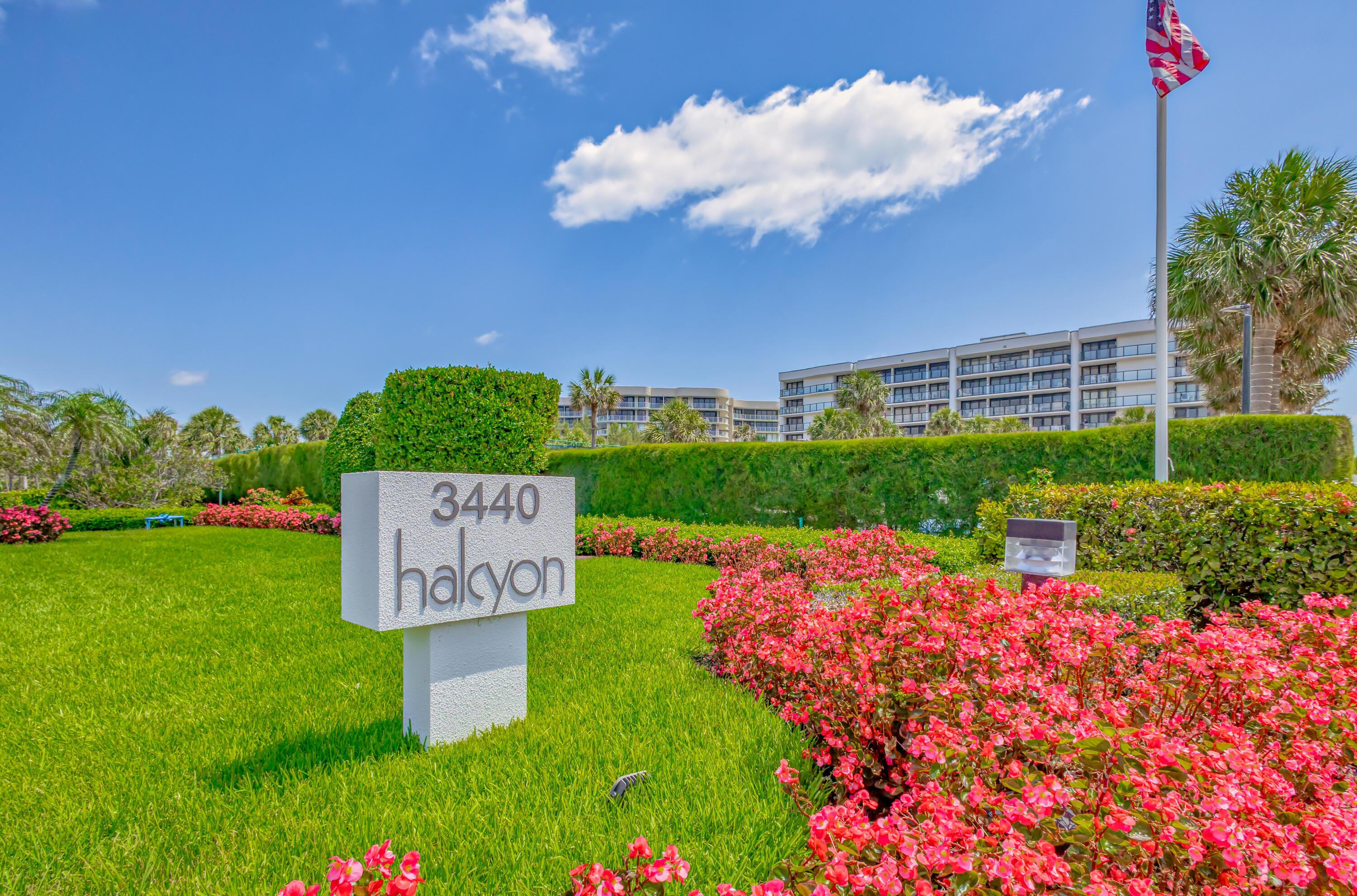 Image 2: The Halcyon