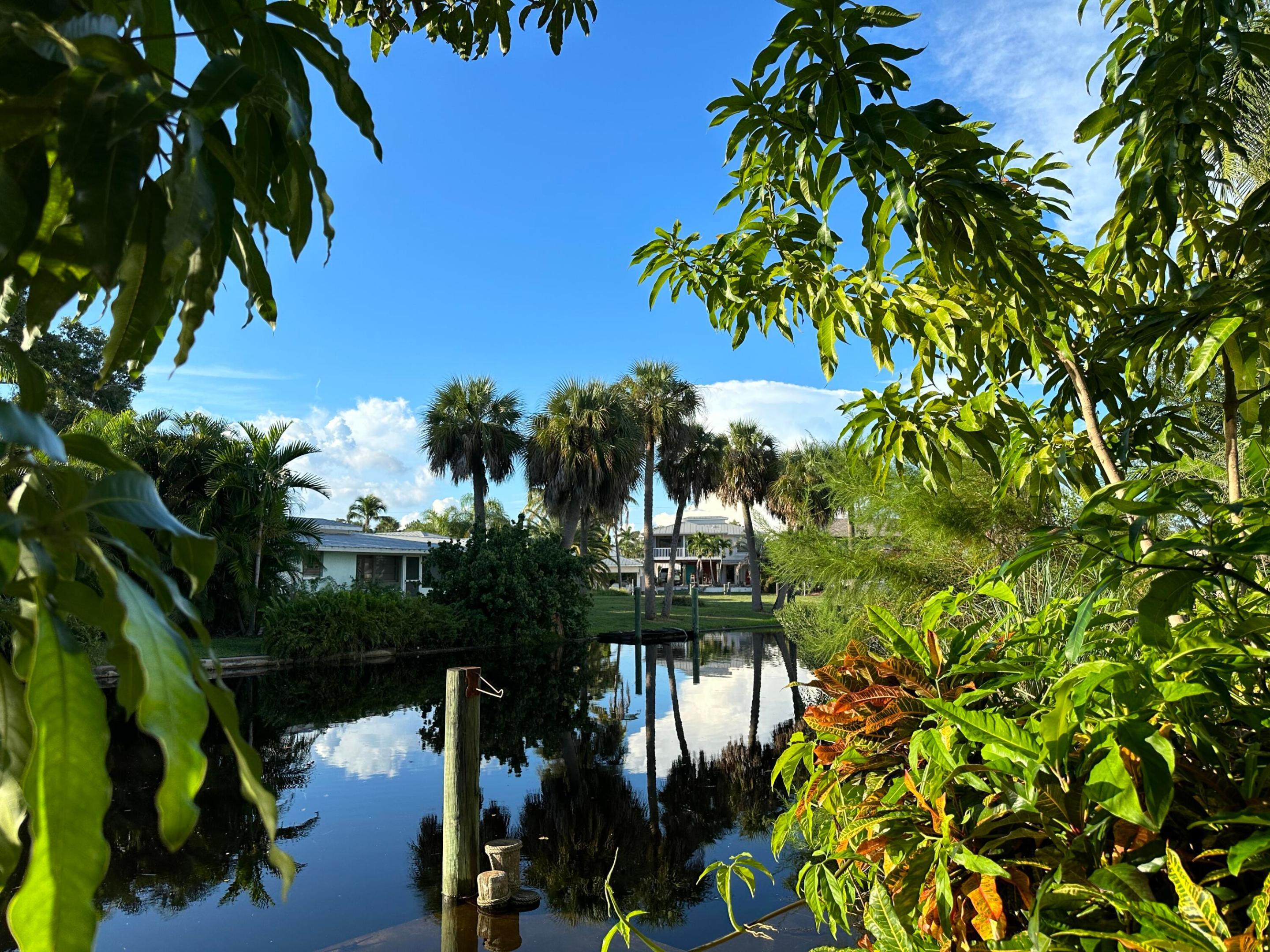 Image 1: Canal view with dock