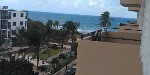 Image 2: View