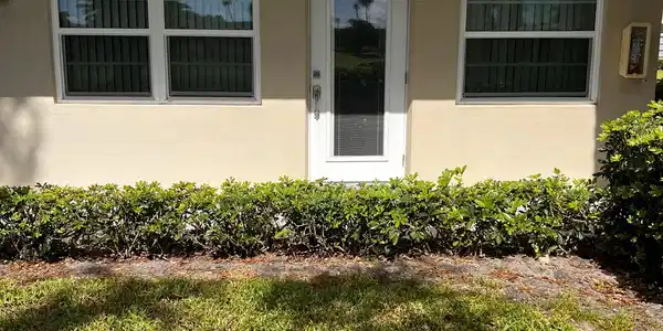 84 Crooked Tree Lane