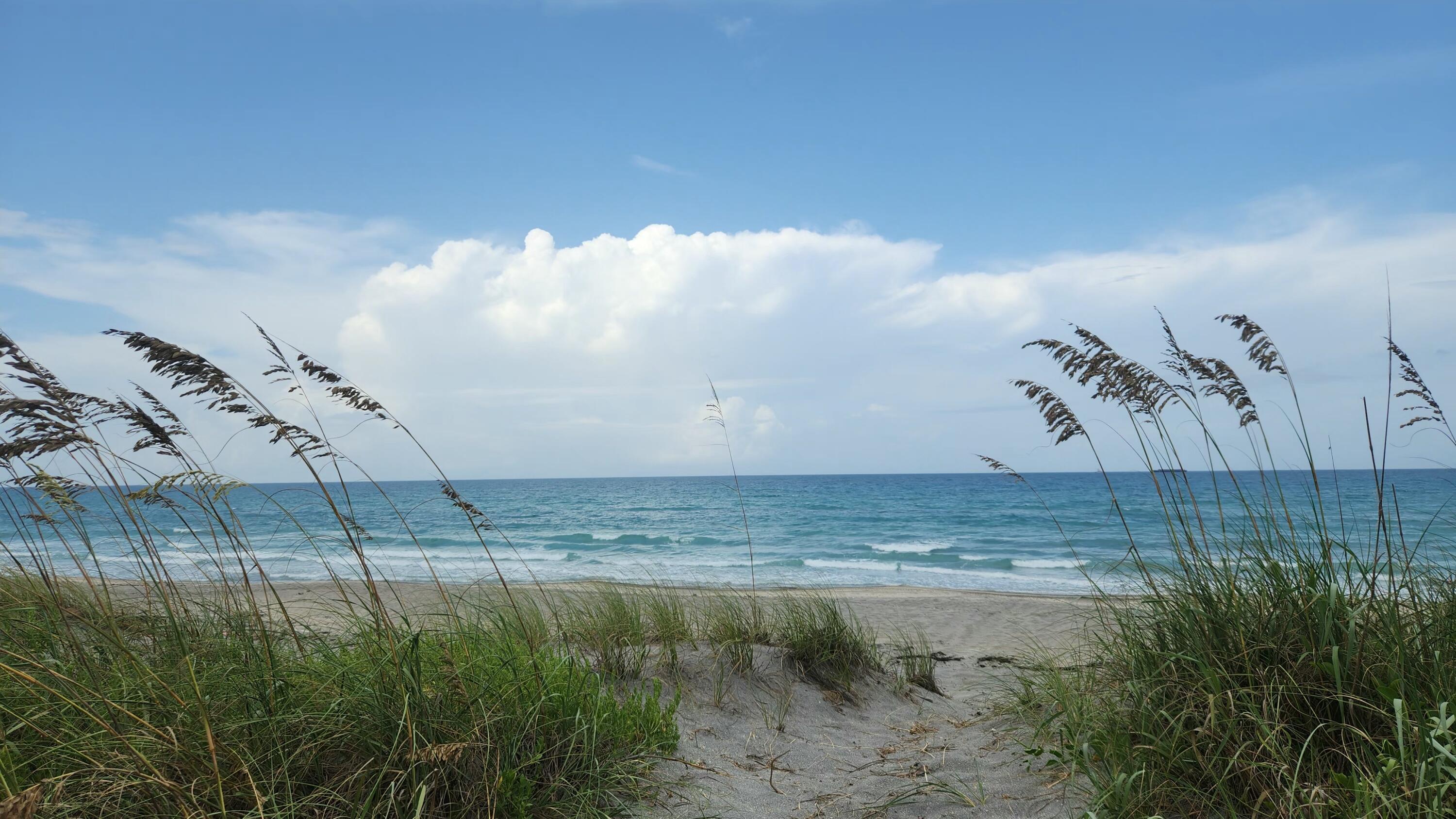Image 3: Jupiter Beach