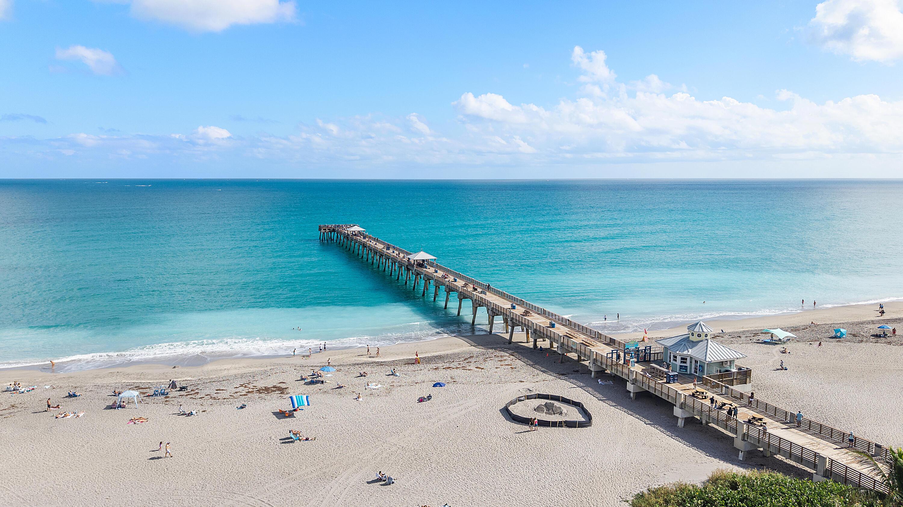 Image 2: 41-print-DJI_20251220114828_0132_D