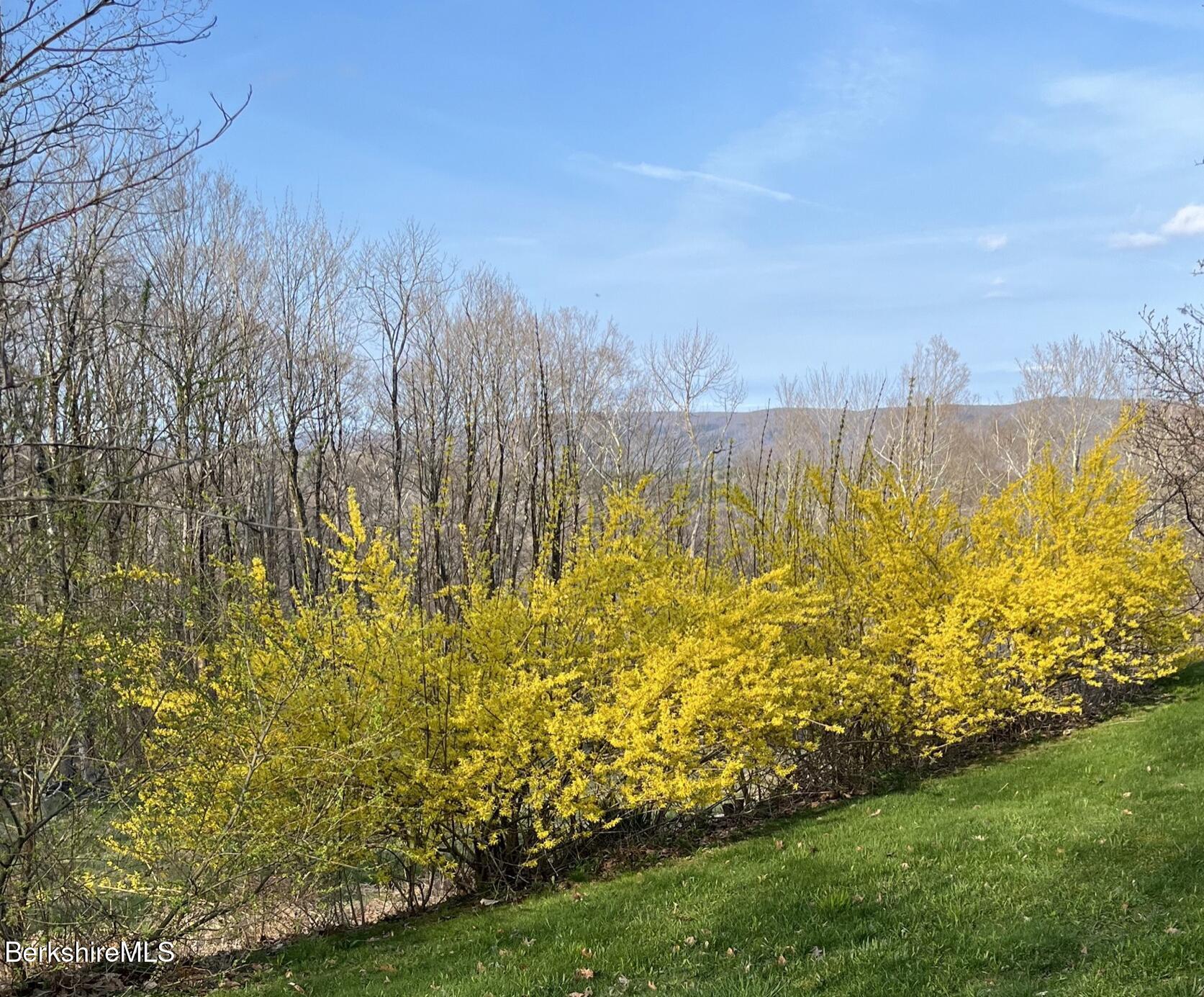 Image 4: Screenshot 2025-09-30 at 1.47.50 PM