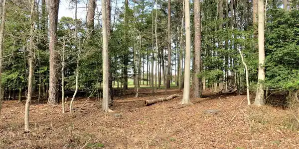 104 W SIDE DRIVE