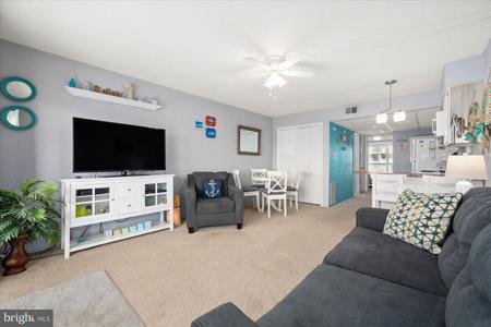 6308 COASTAL HIGHWAY
