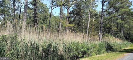 Lot Daughertytown Road DAUGHERTYTOWN RD