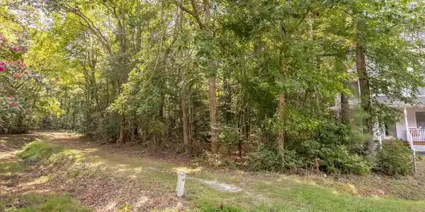 24 SASSAFRAS LANE