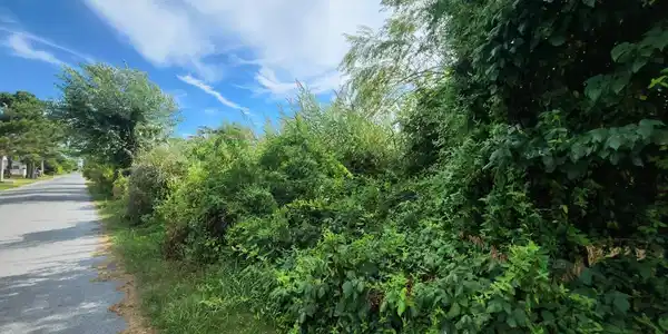 Lot 48 BAY DRIVE