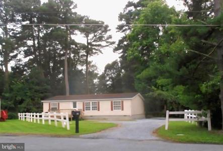 116 PINE