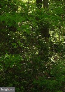 OLD ELK NECK ROAD