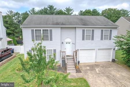 260 CHESTNUT DRIVE