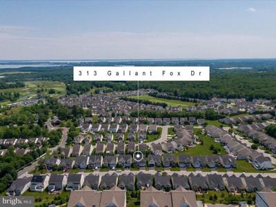 313 GALLANT FOX DRIVE